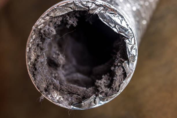 Best Best Air Duct Cleaning Company  in Paramount Long Meadow, MD